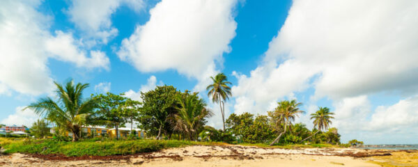 Moule en Guadeloupe