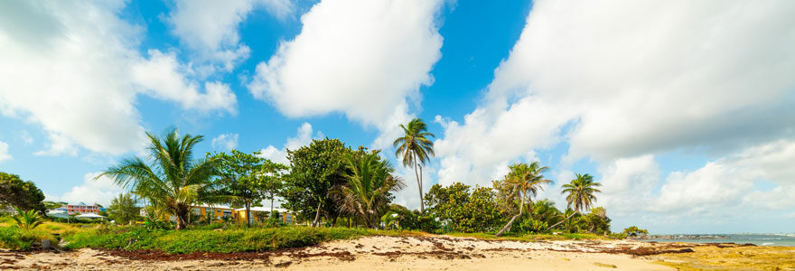 Moule en Guadeloupe